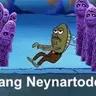 NEYNARTODES