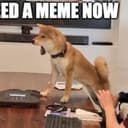 狗叫