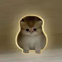 mimi