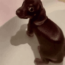 fartdog
