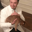 SCHRÖDINGER