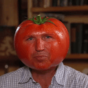 TOMATO