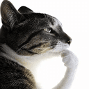ThinkCAT
