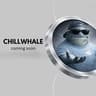CHILLWHALE