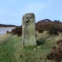 STONEINU