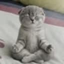 zen