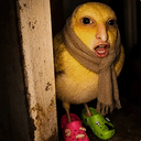 bicho