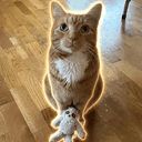 Nutmeg