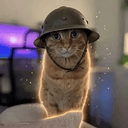 trenchcat