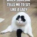 Pussy