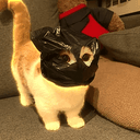 ROBBERY