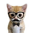 PHDkitty
