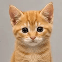 hello?