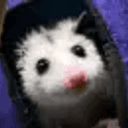CROUTON