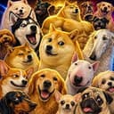 DOGUST