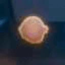 Onion