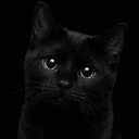 BLACKCAT