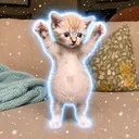 SNOWBALL