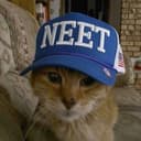 NEETCAT