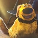 UPPDOG