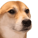 Winnie
