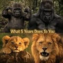 5YEARS