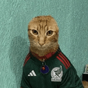 CARLOS