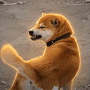 DOGESH