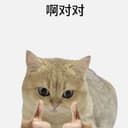 啊对对