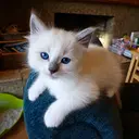 YUKI