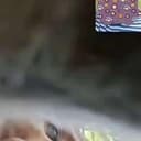 手机猴