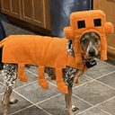 Pixel