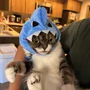 Mochi