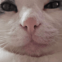Bu-sama