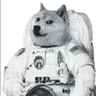 MOONDOGE