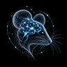 mousebrain