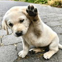 Edgar