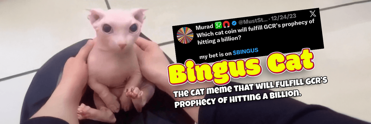 Bingus Cat Banner