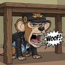 underdog