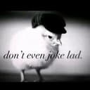 jepe