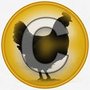 COCK