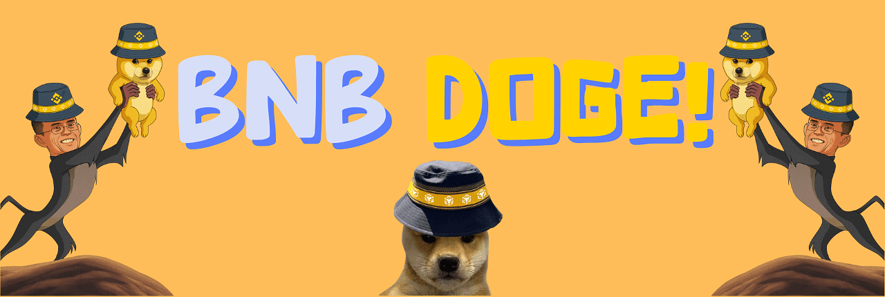 BNB DOGE Banner