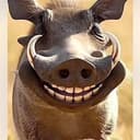 Pumba