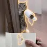 WIFPAPER
