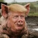 POTUS