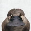 正面