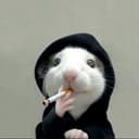 Hoodrat
