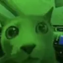 MarketCat
