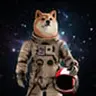 MOONDOGE