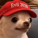 dogi2028